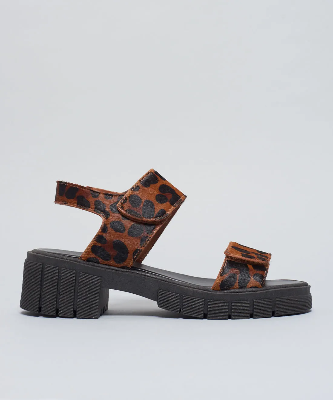 02.03.0335_0012_01-1.jpg-1