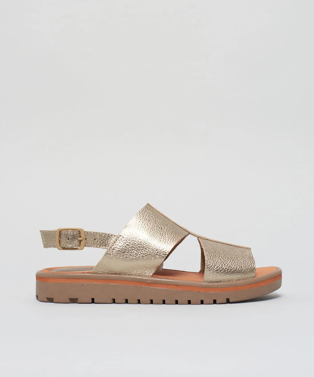 02010579_0015_01-RASTEIRA-TRATORADA-ALICE-1