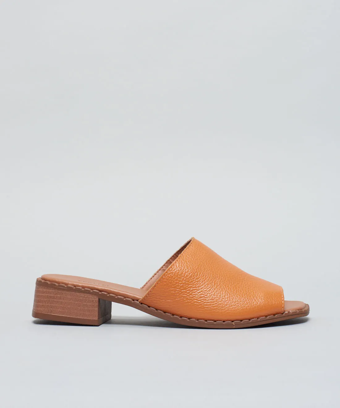 02030274_0465_01-SALTO-MEDIO-MULE-1