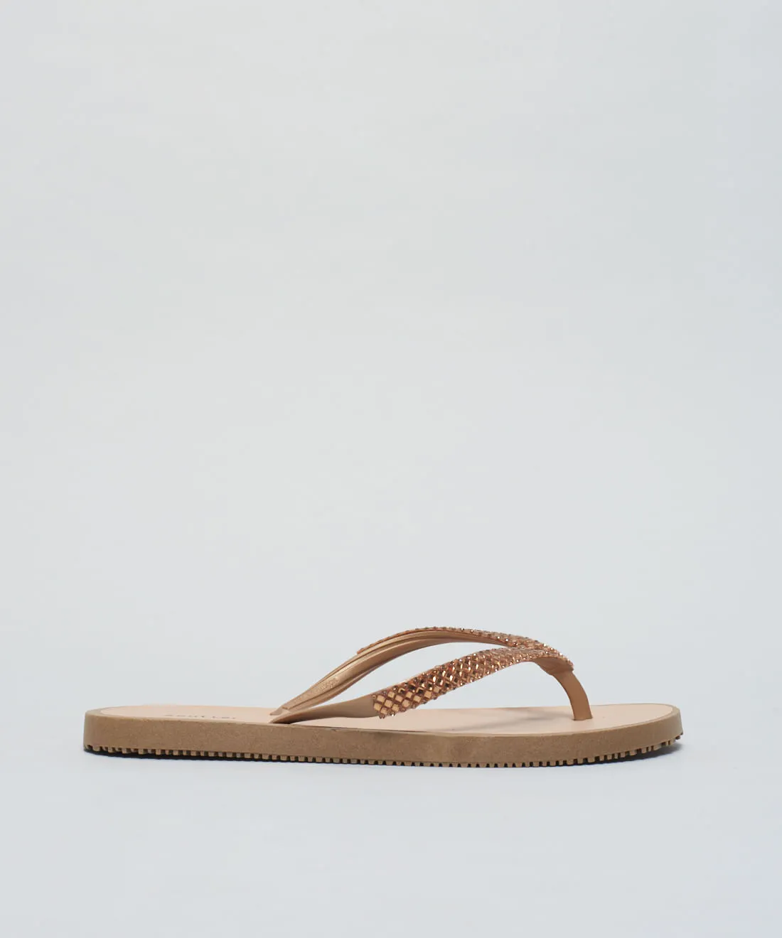 02080080_0099_01-RASTEIRA-BASICA-BRILHO-1