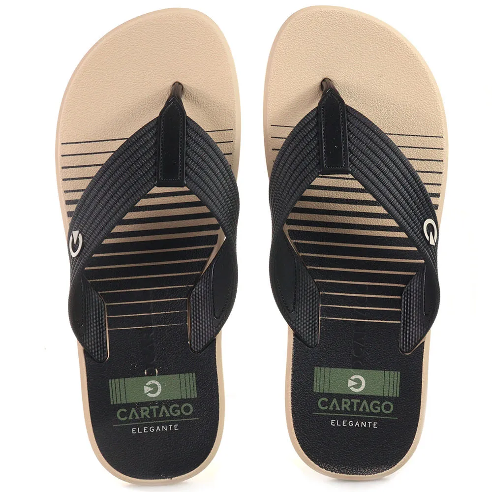 CARTAGO_11729-AU280_BGPT_3-1