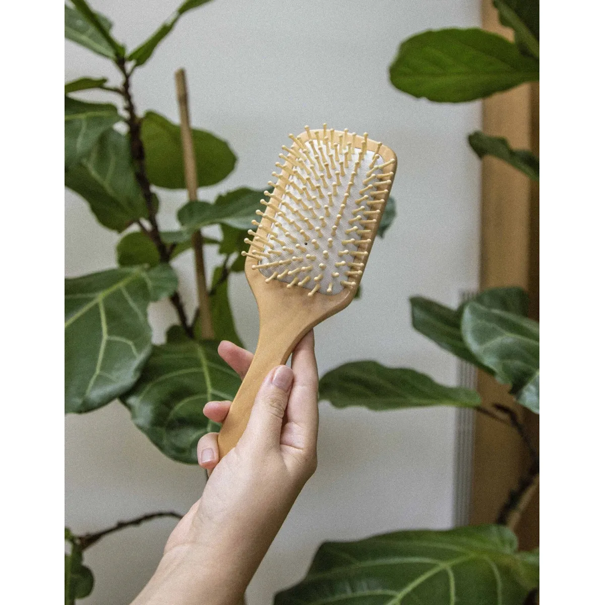 JPG_6fb04d991136b7b688241f78caff6293-1