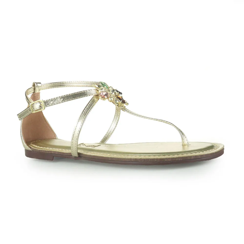 LAYSA-MONTEIRO-41691021-DOU-2-1-1