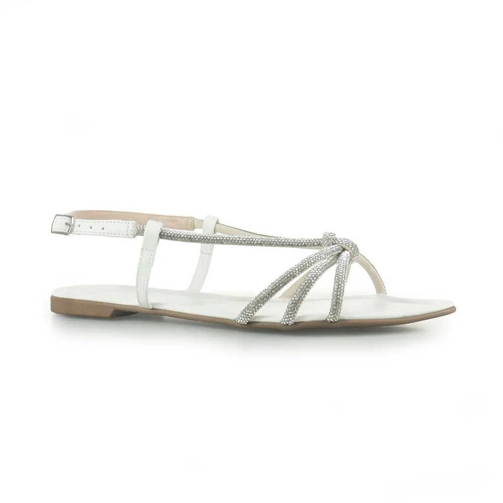 LAYSA-MONTEIRO-Z5829-BR-2-1-1