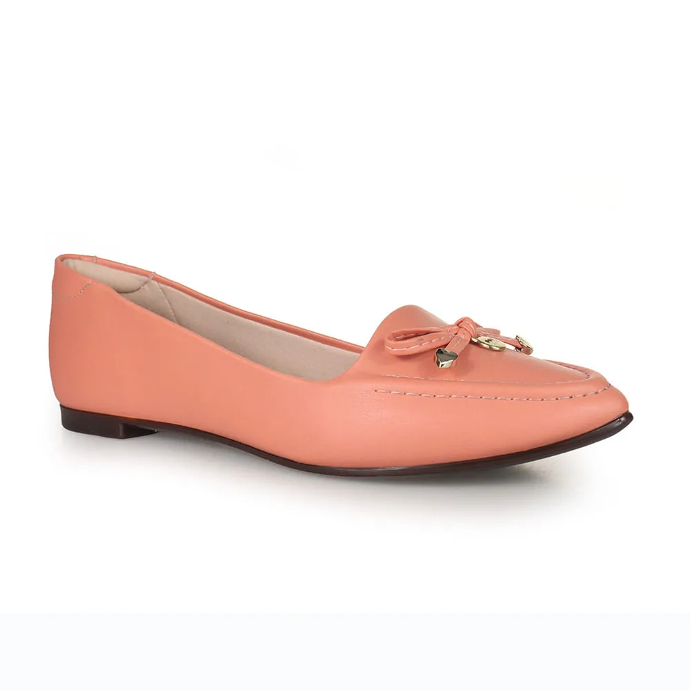 MOLECA-5635863-Papaia-2-1-1